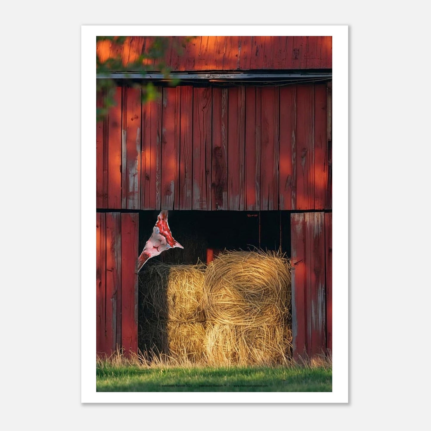 4e33a21c-6101-4bd5-873f-e9f114adecb3