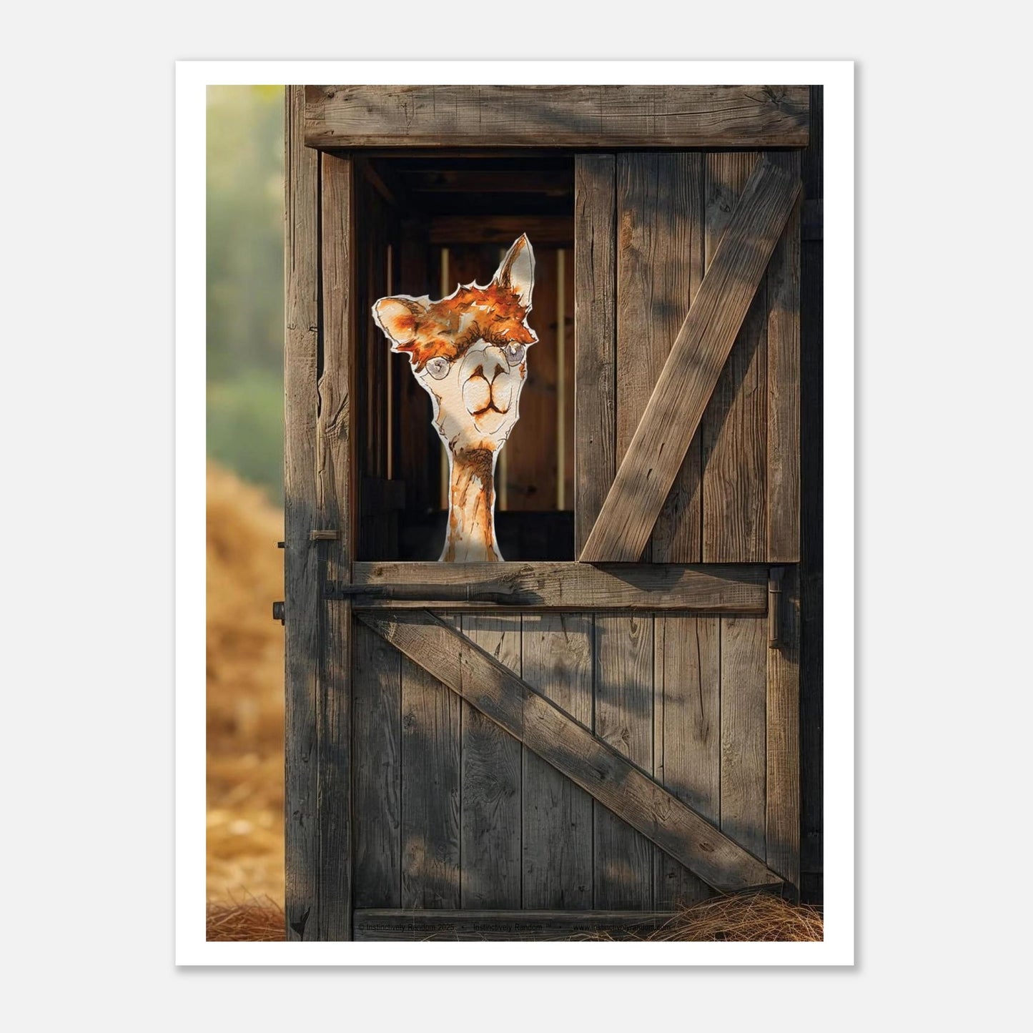 a23d1ecd-e84d-4747-ad4e-edd6232e75c1