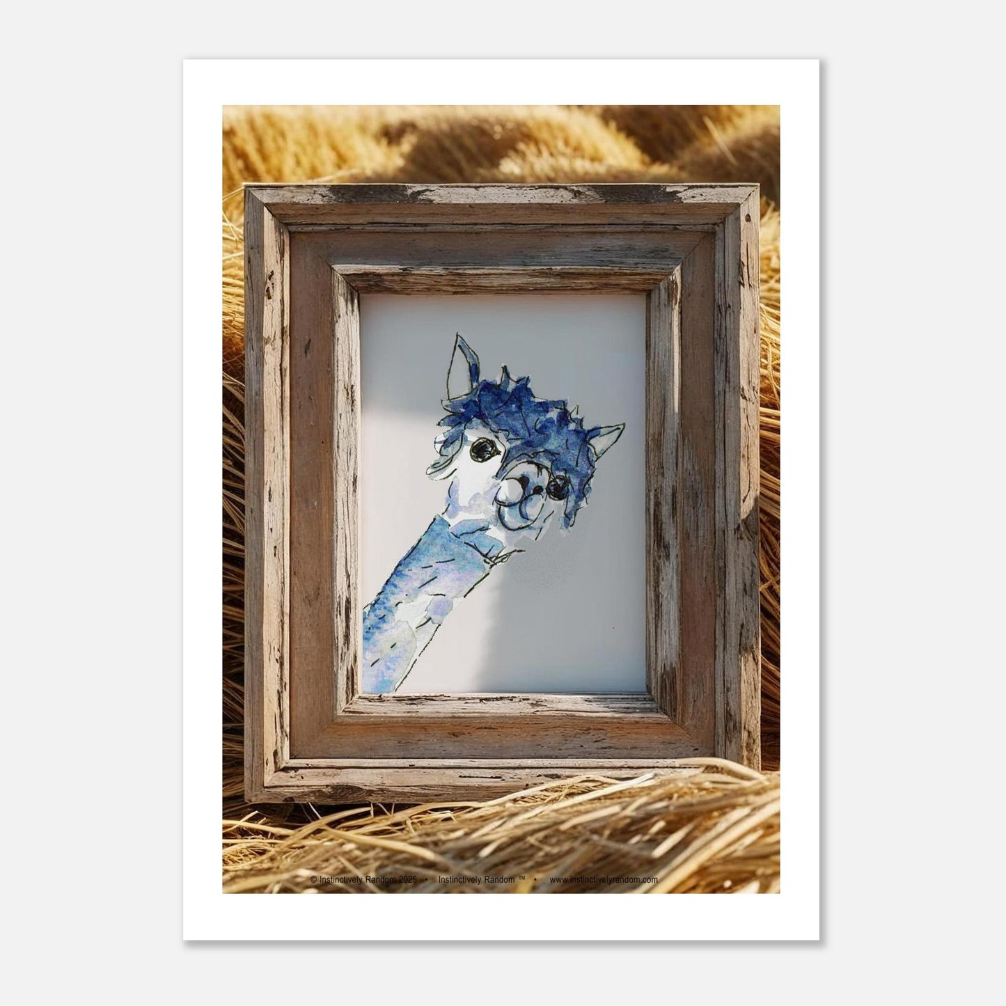 08115ebc-904d-4d1c-b7cd-1970fee5ab27