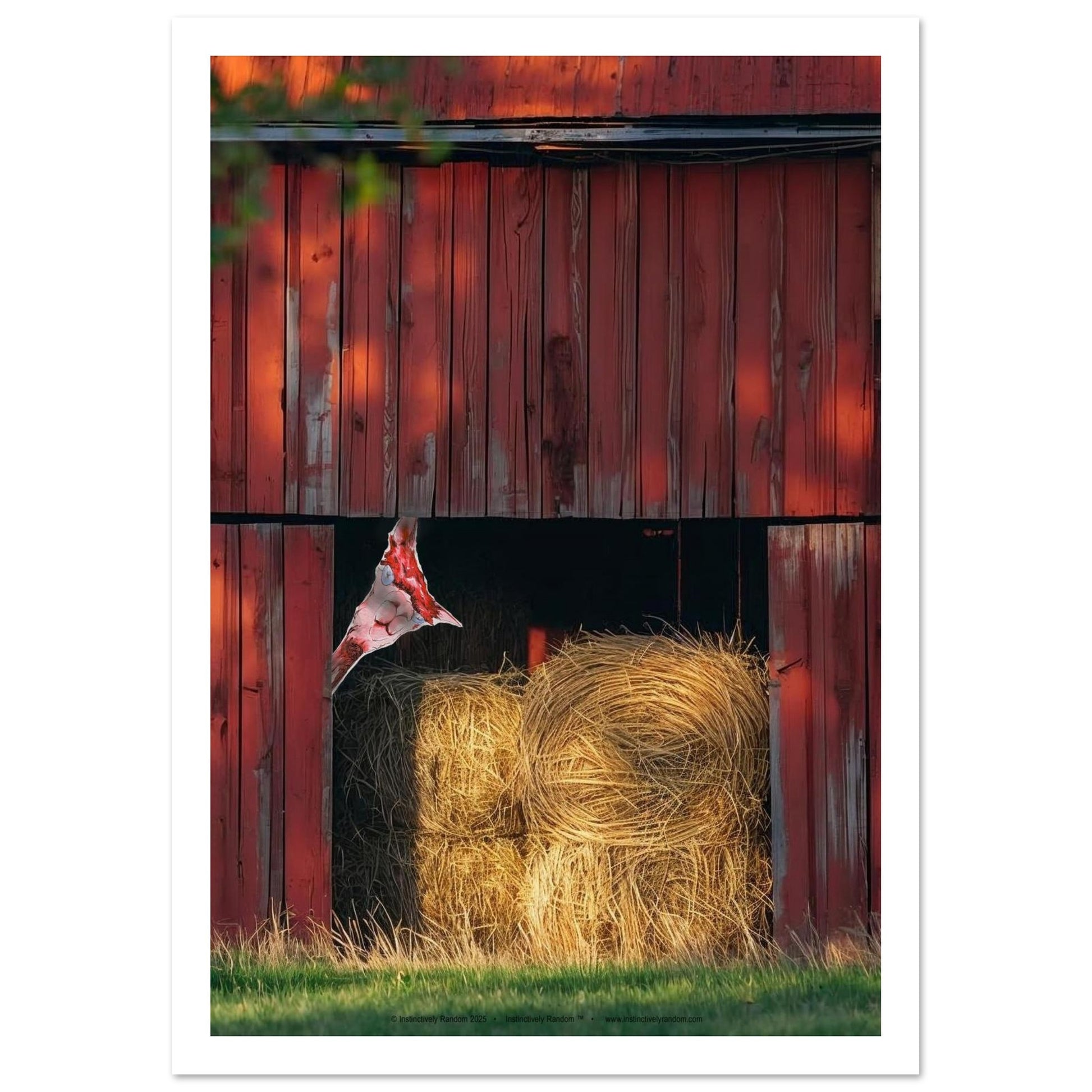 30de194d-2915-4723-816f-e7e23c46eade