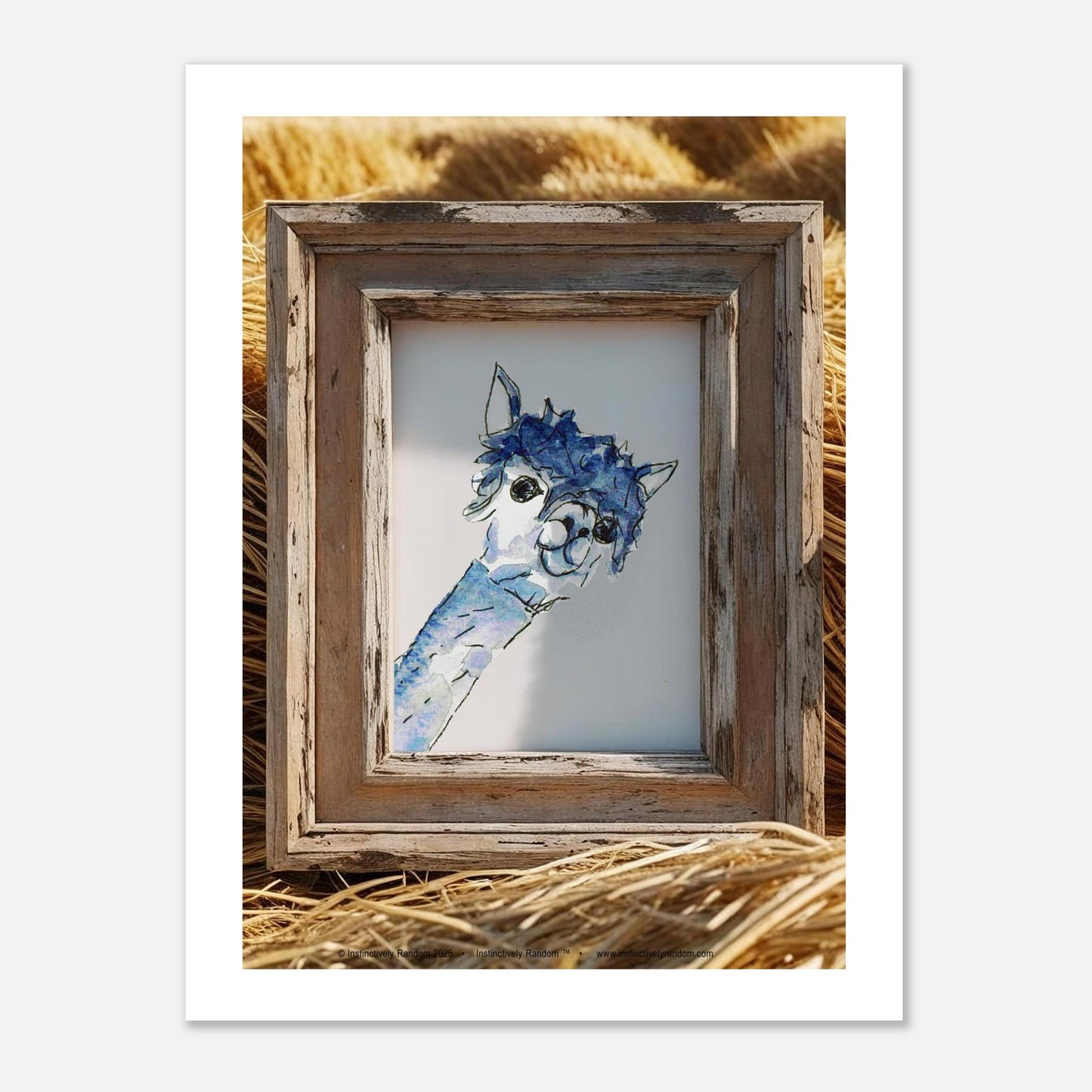 4fbadffa-20db-4dca-92d3-d51443dc069f