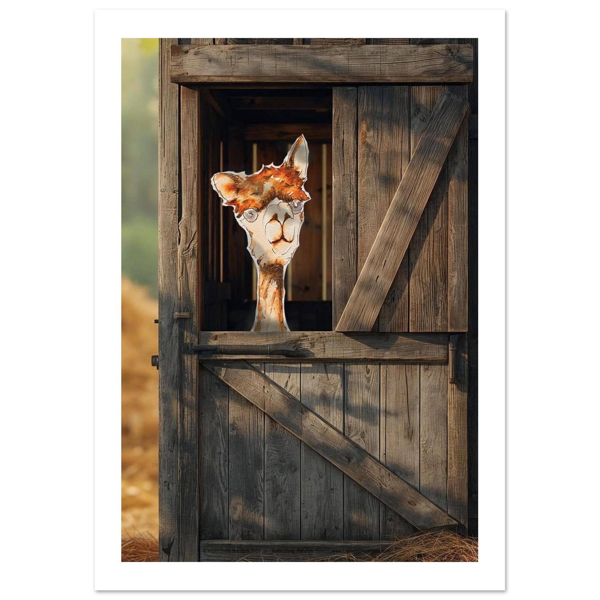 5c155ece-b6f8-4532-9ad7-68374ac31ebc