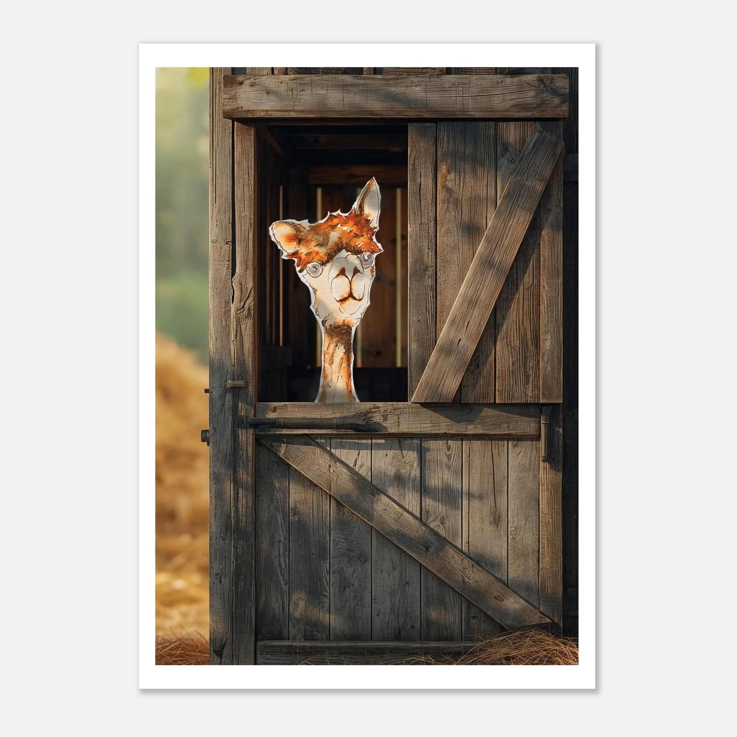 92e242f2-1a42-445b-869c-c01741666c24