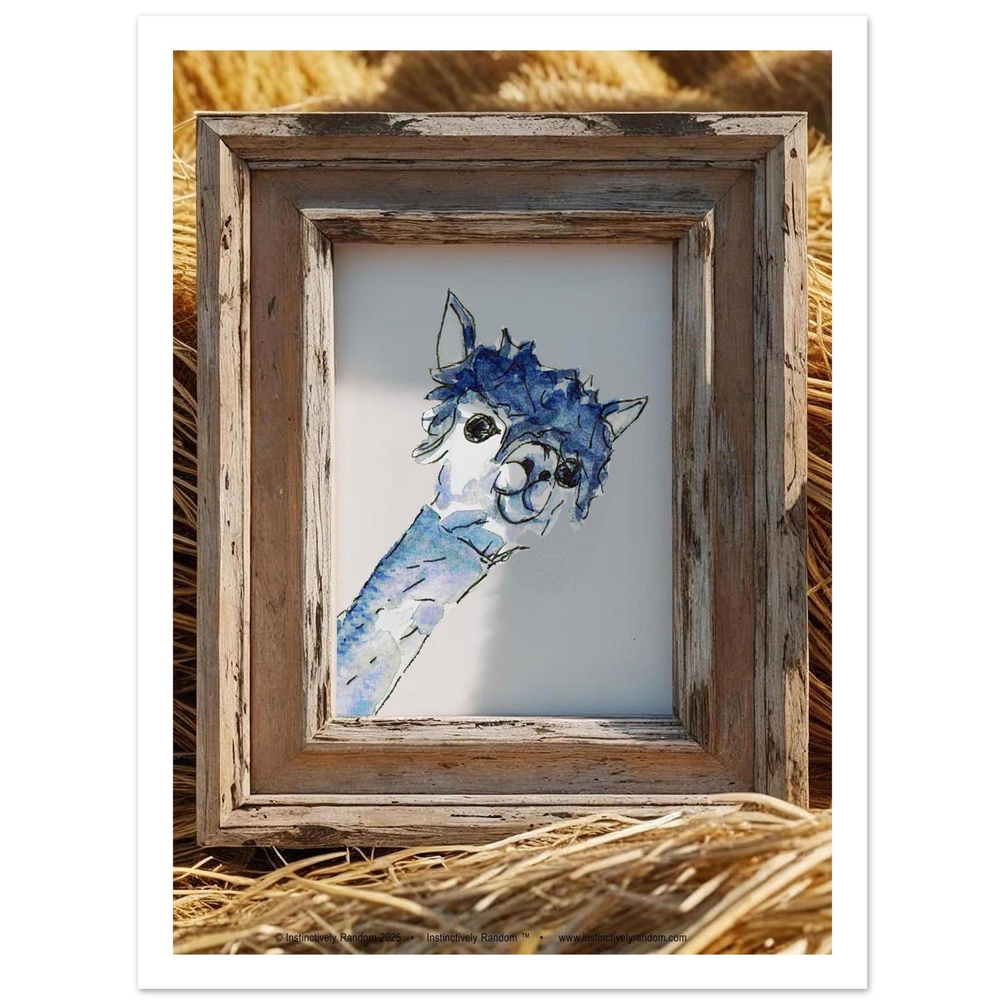 a3da4e0f-1e1e-4908-b224-e84c4bc4c6b7