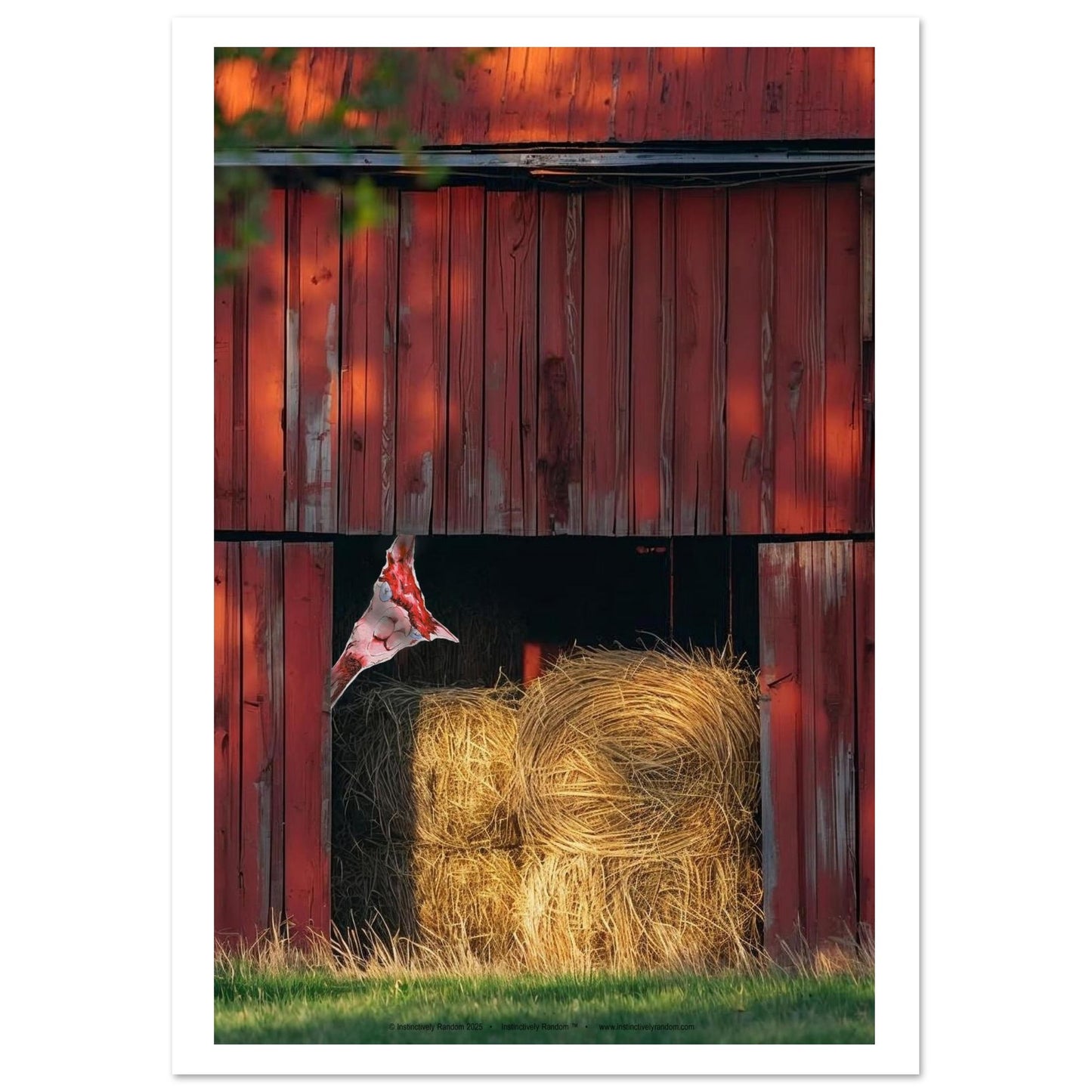 ac78bda7-f701-4205-9d2a-c0b9d59e00d7