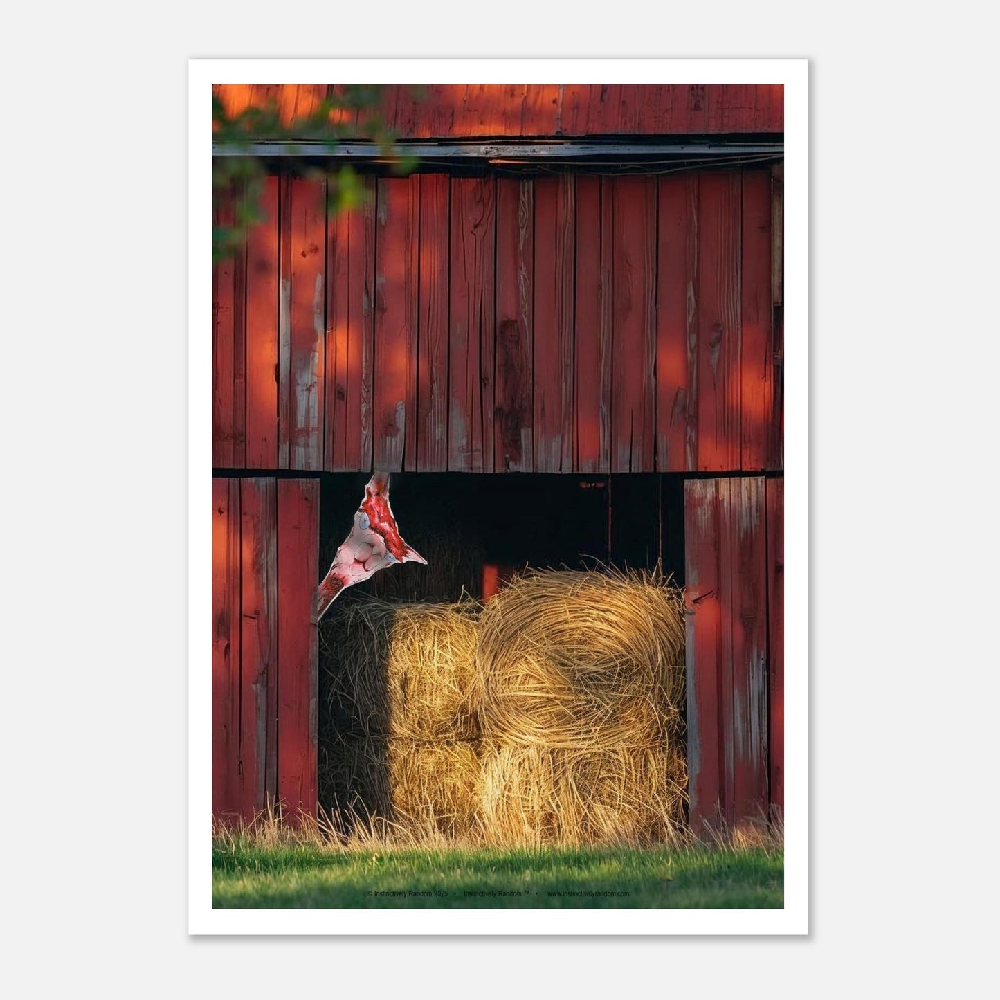 b10dfa45-126e-4cb4-9806-8ae5f5d2f957