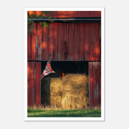 b10dfa45-126e-4cb4-9806-8ae5f5d2f957