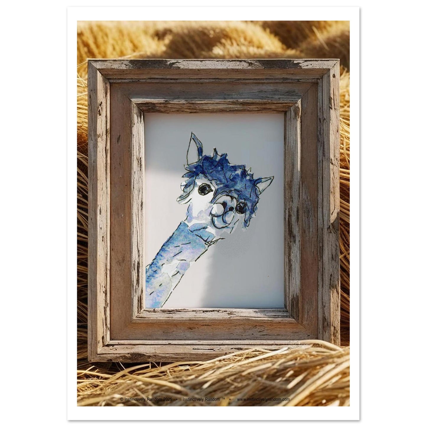 dd4473f8-cba0-497b-a4b1-26ea8e592e58