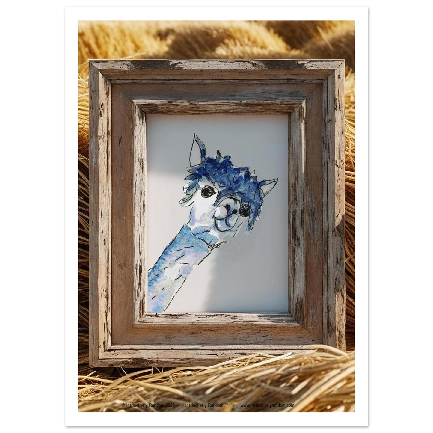 e1515b47-a227-4690-92fa-48c7c6da48ca