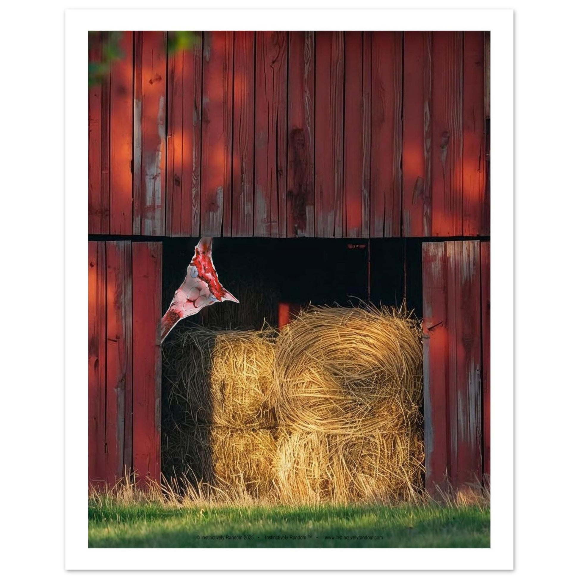 e3c123ce-603e-40b8-87ba-5752050e33d7