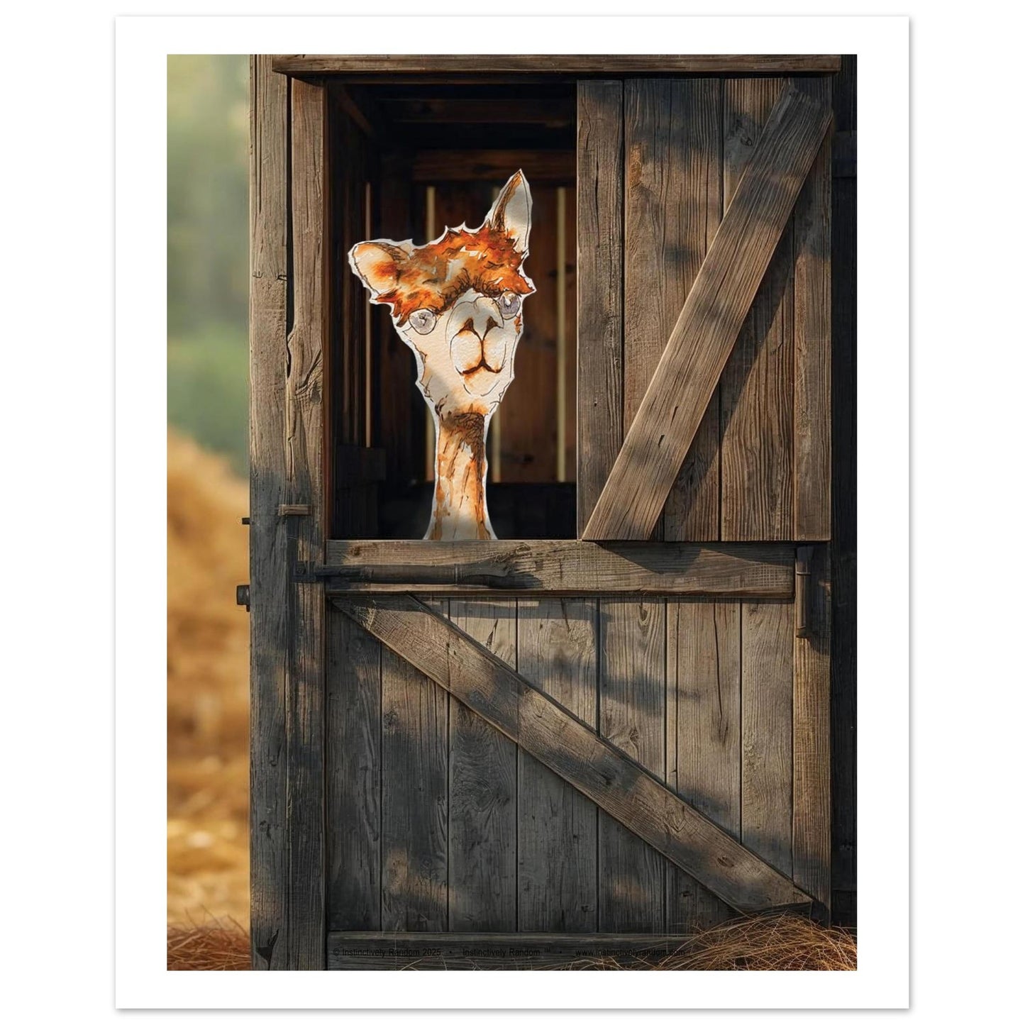 ff9abbf0-d06d-4b8b-907c-ffa6a9a32252